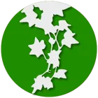 Ivy (Sidebar, Widgets, RSS) icon