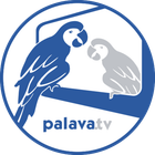 Palava.tv icon