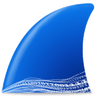 Wireshark icon