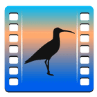 Curlew icon