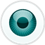 ESET Smart Security icon