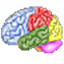 Brain Workshop icon