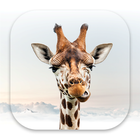 Girafi icon