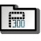 P300 icon