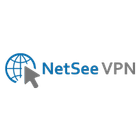 NetSee VPN icon