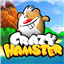 Crazy Hamster icon