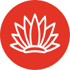 Pangara icon