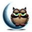 SmartSleep icon