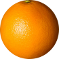 OrangeWebsite