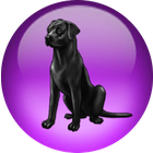 Black Lab NetOS icon