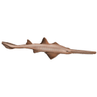 Sawfish icon