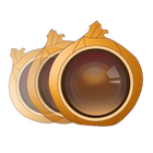 Onion Photo Skin icon