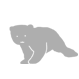 Bear File Converter icon