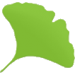 Gingko icon