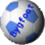 Bygfoot Football Manager icon