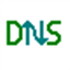 DNS Redirector icon