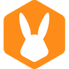 Bunny Studio icon