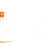 Webzilla Instant Files icon