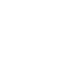 Frisby icon