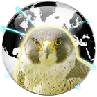 Falcon Private Browser icon