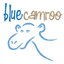 BlueCamroo icon