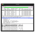 Termshark icon
