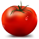 Freshtomato icon