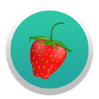 Calorie Calculator icon