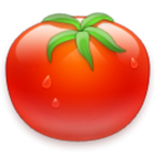 Tomato Timer icon