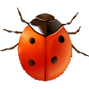 Coccinella icon