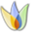 ScrewTurn Wiki icon