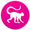 Monkey 2 icon