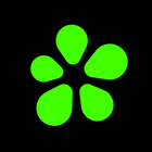 ICQ icon