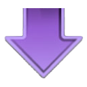 RapgetMac icon