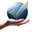 BrowserSeal icon