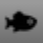 Tunefish 4 icon