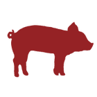 MailHog icon