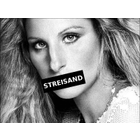 Streisand icon