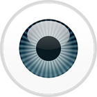 ESET Endpoint Security icon