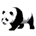 Panda-Sql icon