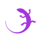 Quizgecko icon