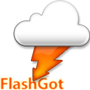 FlashGot icon