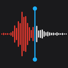 Voice memos icon