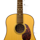 Realguitar icon