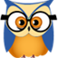 Stat Owl icon