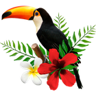 Toucan Tasks icon