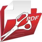 PDF Separator icon