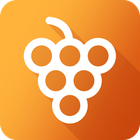 Product Fruits icon