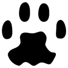 PAW Server icon