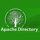 ApacheDS icon